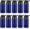 Mimorou 10 Pieces 13.5oz Reusable Aluminum Water Bottles Bulk Multicolor Outdoor Sports Water Bottles for Travel, Gym, Hiking, Cycling, Camping, Fishing, Snap Lid (Blue)