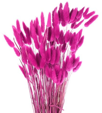 QUARKZMAN 50 Pcs Faux Herbes de Pampa, 17/43cm Fausse Herbe de Pampa, Décoration pour Salon, Fête, Vase, Mariage, Rouge Rose