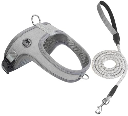 Dog Harness and Leash Set, No Pull Saddle Style Pet Harness, Breathable Mesh Adjustable Reflective Dog Vest for Dogs and Cat Medium Small Harness 2 D-Rings, Grey, L