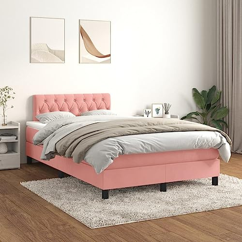 Willood Boxspringbett mit Matratze Rosa 120x200 cm SamtKnopfheftung Design
