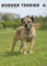 Border Terrier Kalender 2025