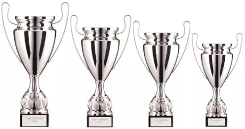 County Engraving The EuroStars Personalised Silver Metal Presentation Cup Trophy In 4 Sizes Engraved For Any Sport - Enter Your Own Custom Text (Small)