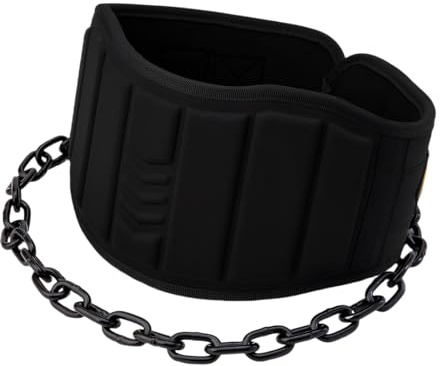 Gürtel Gewicht Klimmzug, Dip Gürtel mit Kette Karabinerhaken, Gewichthebergürtel, Gewichtsgürtel für Zusatzgewicht, Fitness Bodybuilding Zubehör Krafttraining Zuhause Gym