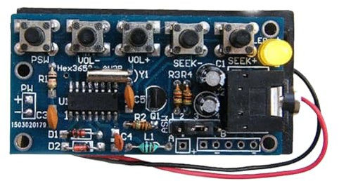 LYEAA Wireless Stereo FM Radio Receiver Module 76MHz-108MHz DIY Radio Receiver Kit Wireless FM Radio Kit