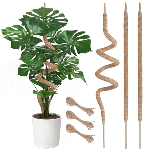 Supoice Paquete de 3 postes de musgo de 25 pulgadas, soporte de plantas Monstera, poste de musgo flexible para plantas trepadoras de interior de fibra de coco
