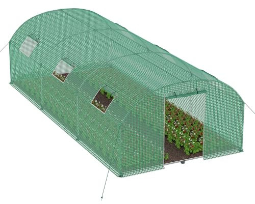 SUBTLETY Serre da giardino resistenti all'inverno, 3 x 6 x 2 m, 18 m², con 4 finestre di ventilazione e 1 porta a rullo, piccola serra per la coltivazione di piante, aiuola per giardino