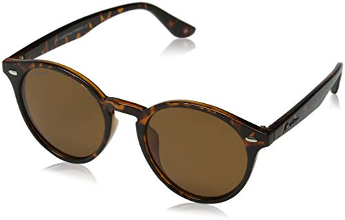 Sunoptic Men's MP20B Montana Sunglasses Turtle/Brown