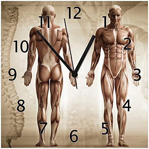 Wallario Design-Wanduhr Anatomie Mensch I aus Glas, Motiv-Uhr Größe 30 x 30 cm, Schwarze Zeiger