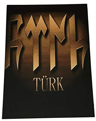 Gök-Türk Wandbild Ertugrul Türk Alttürkisch