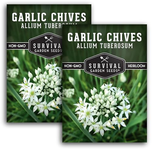 Survival Garden Seeds 2 Packs Garlic Chives Seed for Planting - Packet with Instructions to Grow Delicious Perennial Herbs in Your Home Vegetable Garden - Non-GMO Heirloom