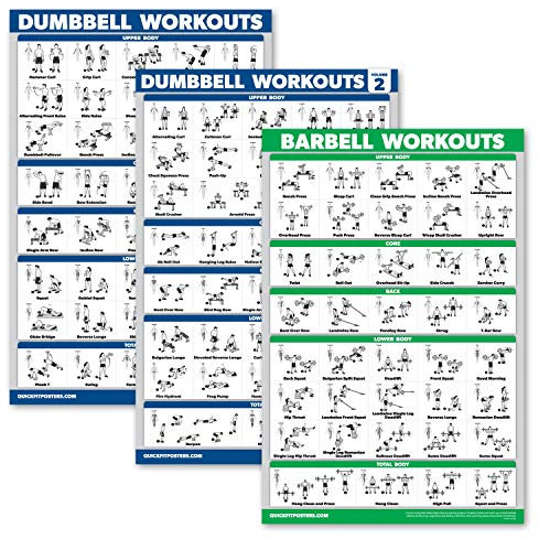 Palace Learning 3er-Pack: Hantel-Trainingsposter Band 1 & 2 + Langhantelübungen – Set mit 3 Workout-Diagrammen (laminiert, 45,7 x 61 cm)