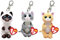 TY Beanie Bellies – Mango Cat, Miso Cat, Mitzi Cat – 3-teiliges Set Stofftier-Schlüsselclip – Weicher Plüsch-Schlüsselanhänger, Teddy-Schlüsselring, Sammelspielzeug für Kinder-Rucksack