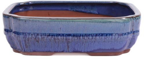 Bonsai - Schale eckig 22 x 16.5 x 6.5 cm, blaugrün/blau 22036