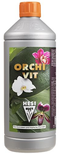 VARIEGATA SW10015