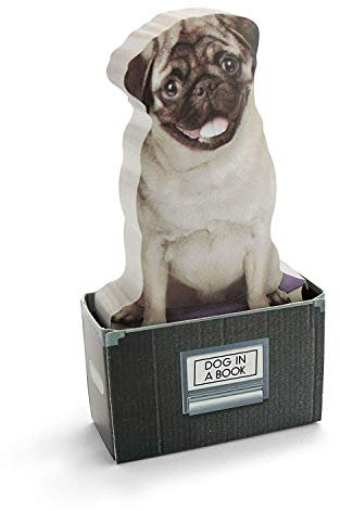 MUSTARD - Dog in A Box Sticky Notes I selbstklebende Notizzettel I Haftnotizzettel I klebend I Block I Klebenotizzettel I lustige Geschenkidee I Notizen für Kinder I Hunde Motiv - 150 Notizzettel