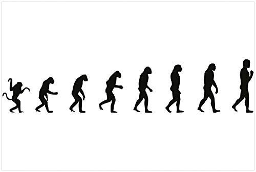 Wallario Poster - Evolution - Die Entwicklung des Menschen in Premiumqualität, Größe: 61 x 91,5 cm (Maxiposter)