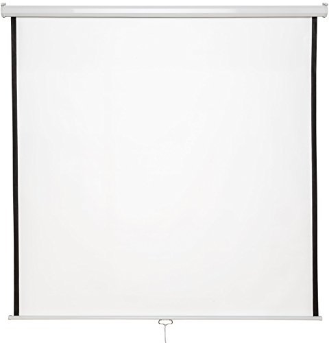 tectake® Pantalla proyector Enrollable, Montaje en Pared y Techo, ángulo de visión 125°, Doble Capa sin Arrugas, formatos 1:1, 4:3, 16:9, Pantalla proyector, proyector Pantalla - 178 x 178 cm 99