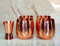 ESPLANADE Moscow Mule Cocktail Copper Mugs - Set of 4 Mugs, 4 Copper Straws, and a Peg Measurer (Moscow Mule Hammered Without Handle)