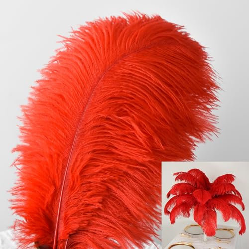 30 pièces de plumes d'autruche, Plumes Grand Pour la maison Décoration de mariage, Bricolage, Plumes d'autruche Vase (Rouge)