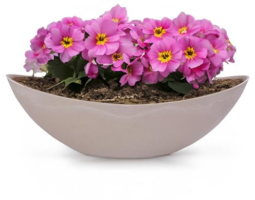 matches21 HOME & HOBBY Ovale Pflanzschale als große 39 cm Vintage Outdoor Deko-Schale Sandfarben beige