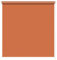 Kettenzugrollo Seitenzugrollo Fenster Rollo 13 Farben Breite 60 - 220 cm Länge 180 und 230 cm blickdicht halbtransparent lichtdurchlässig Sonnenschutz Blendschutz (Größe 180 x 180 cm Farbe Orange)