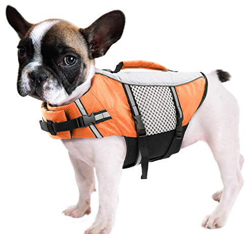 Queenmore Hunde Schwimmweste, Rettungsweste, Schwimmweste Hund kleine große, Rettungsweste für Kajak, Bootfahren, Schwimmweste französische Bulldogge, Dackel (Orange, M)