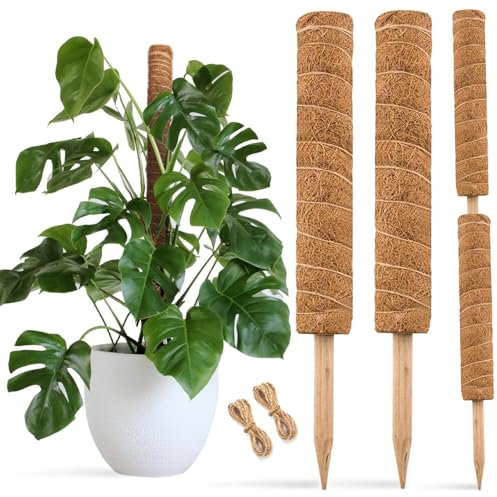 Joyseus Lot de 2 bâtons de mousse en fibre de coco 61 cm avec attache torsadée pour jardin, poteau totem en mousse de coco pour extension de support, convient pour Monstera Deliciosa, Pothos et