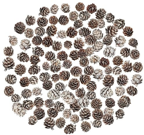 200 Stück Weihnachten Tannenzapfen Natürliche Mini Tannenzapfen Tannenzapfen Weihnachten Tannenzapfen Ornamente für Heimtextilien DIY Handwerk Weihnachtsbaum Herbst Winter Dekoration, Weiß