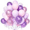 Teselife Rosa Lila Luftballons, 30Stück 12 Zoll Pastell Macaron Metall Rosa Lila Violett Konfetti Ballons Mädchen Frauen Geburtstag Hochzeit Verlobung Brautparty Baby Shower Schmetterling Party Dekor