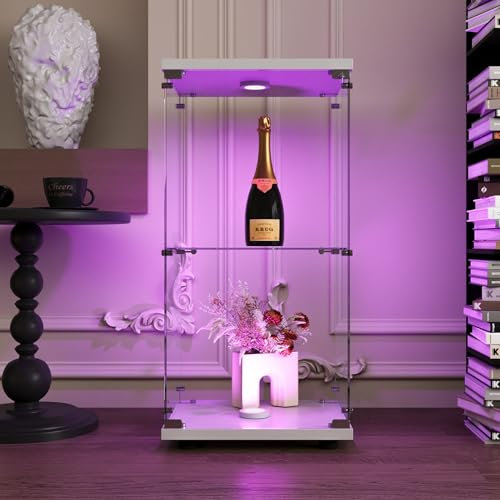 WOBOPCG Vetrina in vetro con illuminazione a LED, in vetro, moderna vetrina per soggiorno, ufficio, libri e vino (2 étages 1 porte+LED, bianco)