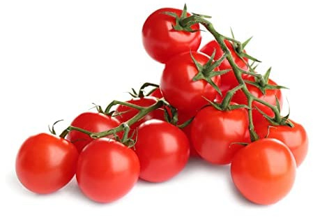 Tomato Plants, 'Red Alert', 6 x Plug Plant Pack, Tomato Plants Ready to Plant Now, Tomatoes, Fresh and Sweet, Gardeners Favourite, Excellent Flavour, Garden Ready, Premium Quality Tomatoes