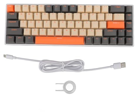 CLZothique 68 Key 60% Mechanical Keyboard, RGB Backlit Wired Gaming Keyboard with Blue Switches, USB C Connection, Compact Ergonomic Design for PC Office and Home Use