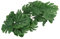 HEEPDD Hojas de Plantas de Seda de Reptil, Vides de la Selva Planta de Terrario de Plástico Hojas Simulación Decoración de Acuario Rama de árbol con Ventosa para Pecera de Terrario