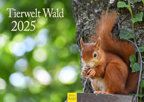 Edition Seidel Premium Kalender Tierwelt Wald 2025 Format DIN A3 Wandkalender Tierkalender Tiere Eichhörnchen Vögel Natur