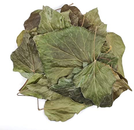 Foglie di Edera Inglese Essiccate 85g - 1,95Kg Hedera Helix (85 grammi)
