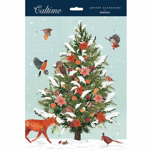 Frosted Pine Tree Portrait Traditional Advent Calendar, Gift