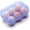 JAMOR 6 Eieraufbewahrungsbox, Eierablage, tragbare Eierbox für Camping und Picknick (Blue, 15 x 12 x 7 cm, minimalistisch)