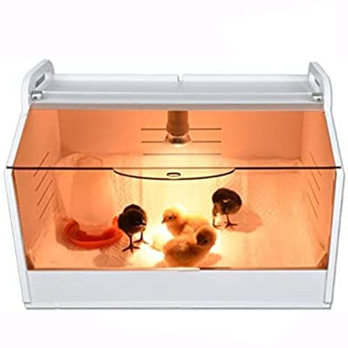 Poulailler Boite Couveuse Plaque Chauffante Couveuse Panneaux Couveuse Cage Poulet Vient Réchauffer Jusqu'à 15 Poussins Avec Jeu D'ampoules for Poussins Perroquet Caneton Chatons Chiots ( Color : Delu
