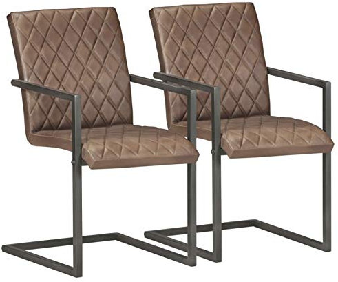 Homgoday Freischwinger für Esszimmer, 2 Stück, echtes Leder, Braun, Poltron, Wohnzimmer, nordische Stühle, Wohnzimmerstühle, Relaxsessel, Dunkelbraun