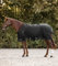 Waldhausen Outdoordecke Arctic, 50 g, schwarz, 115 cm