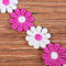 XCSJ 5 Yard 25mm Blumen Spitzenband Spitzenborte Stickerei Dekoband Zierband Borten Bänder Blumenband Gänseblümchen Dekoband Spitzen Spitzenborte Für Hochzeit Deko Handwerk Nähen Deko (rosarot)