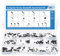 Lot de 300 vis M2,5 M2 M3 pour ordinateur portable Lenovo, Dell, HP, Asus, Samsung, Toshiba, Acer, SSD, HDD, SATA, montage de disque dur, 12 tailles