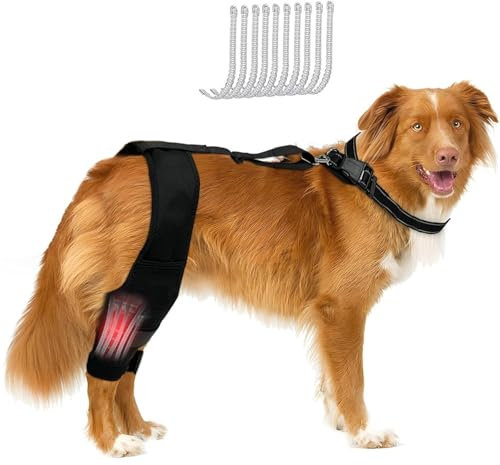 Knieorthese für Hunde bei gerissenem vorderen Kreuzband am Hinterbein, verstellbare Beinorthese und Hüftstütze für Hunde bei Kreuzbandverletzungen, Gelenkschmerzen, Muskelkater, Orthese