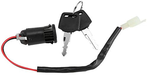 Interruttore di Accensione Universale con 2 Chiavi, Interruttore On Off per Sostituzione di Scooter Elettrici Blocchetto Accensione per Bici Elettriche
