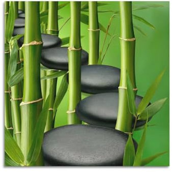 ECHUN Poster zen noir zen pierre et bambou décoratif sur toile murale 30 x 30 cm