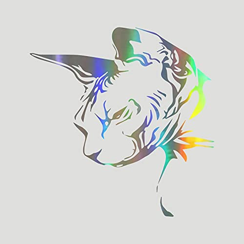 FAiruo Car Sticker Auto Sphynx Cat Fashion Car Motorcycles Decoration Reflective Waterproof Car Styling Custom Sticker (Color : C, Size : 22CM)