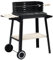 vidaXL Barbacoa de Carbón con Ruedas Terraza Patio Jardin Cocina Fiesta Picnics Eventos Aire Libre Reuniones Accesorios Articulos de Cocinar Exterior