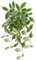 Oairse Artificial Plants with Black Pots Fake Trailing Plants String of Plants Decorative Fake Potted Plants Faux Pothos N' Joy for Indoor Outdoor Home Office Bathroom Kitchen Table Shelves Decor
