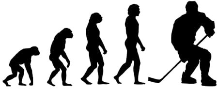 Eishockey Evolution Aufkleber Ice Hockey Sticker Puck Schläger Auto JDM 20x8cm in 21 Farben