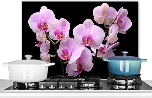 KitchenYeah© Fond de Hotte 60x40 cm Aluminium Crédence Cuisine Décoration Murale Crédence Plaque de Cuisson Anti Projection Orchidée - Fleurs - Rose - Flore